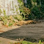 解離の神経科学的な基盤③なぜ記憶がバラバラになる？トラウマ的な状況における記憶処理と愛着、海馬の変容