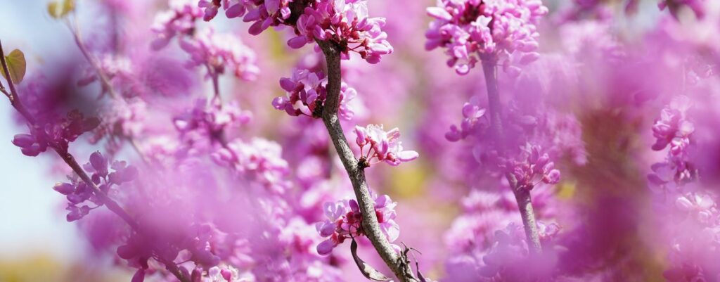 離人感・現実感消失①そもそもどんな症状？アンケート結果から見る、実際の感じられ方