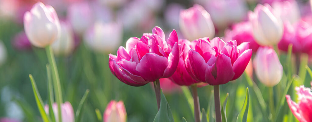 離人感・現実感消失⑤認知行動療法だけじゃない？身体にアプローチする心理療法や自分でできる対処法