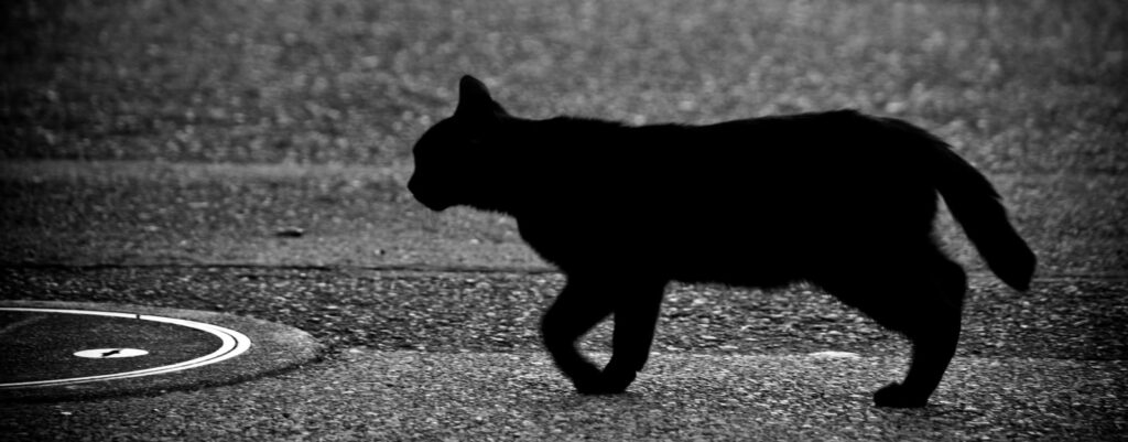 愛着パターンが摂食障害や身体醜形障害に影響を与える？愛着とボディイメージの関係性