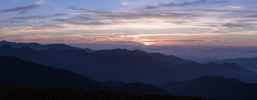 複雑性トラウマの周辺概念①DESNOSとは？診断基準、PTSDとの違い